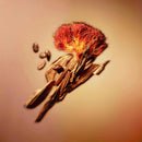 Louis Vuitton Nouveau Monde - FragSplit - Échantillons de parfums Suisse