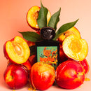 Lorenzo Pazzaglia Speachless - FragSplit - Échantillons de parfums Suisse