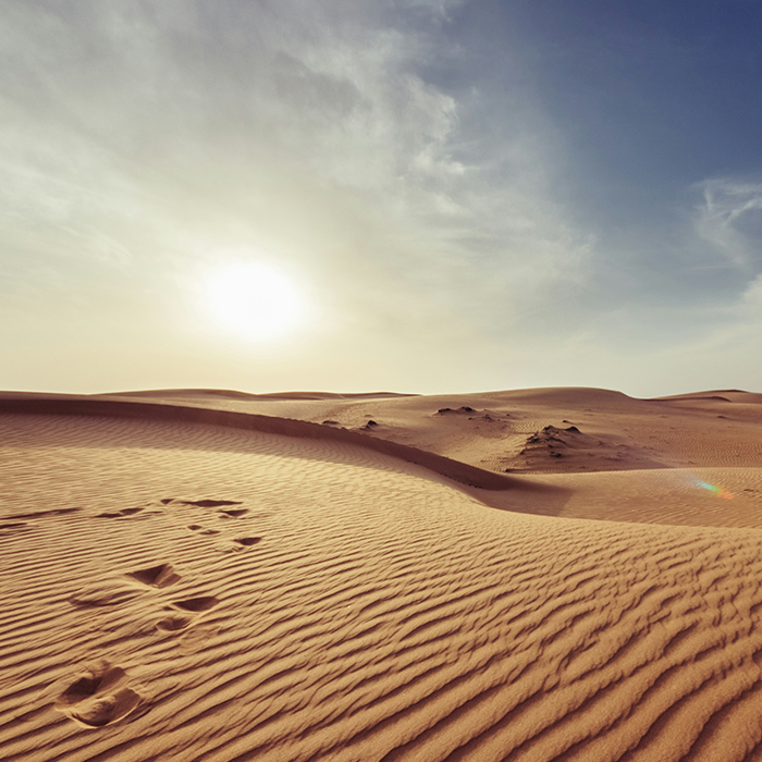Entre Dunes et Palais