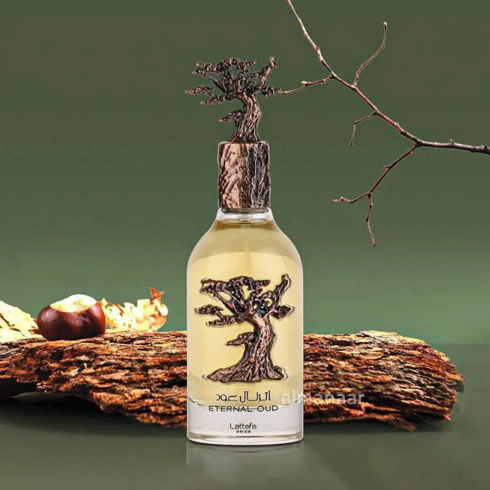 Petit format Fragsplit d’Eternal Oud de Lattafa, un parfum masculin chaud mêlant vanille, fève tonka et oud, livré en Suisse et en France.