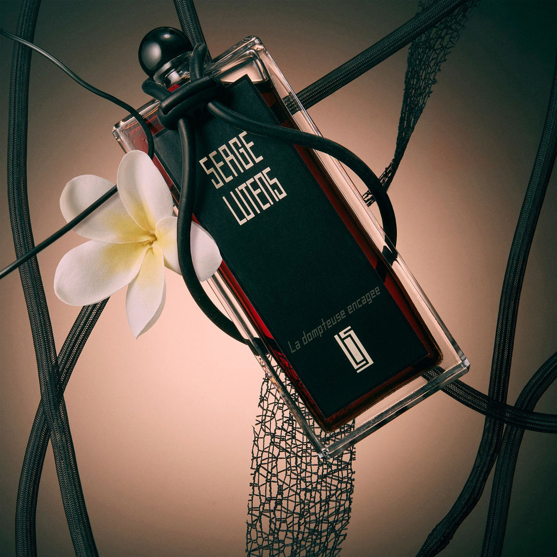Sample officiel Fragsplit de La Dompteuse Encagée par Serge Lutens, échantillon original pour essayer sur la peau avant achat, livré en Suisse et France.