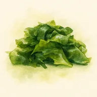 Algue