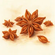 Badiane de Chine
