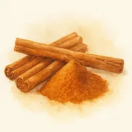 Cannelle