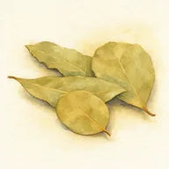 Feuille de laurier