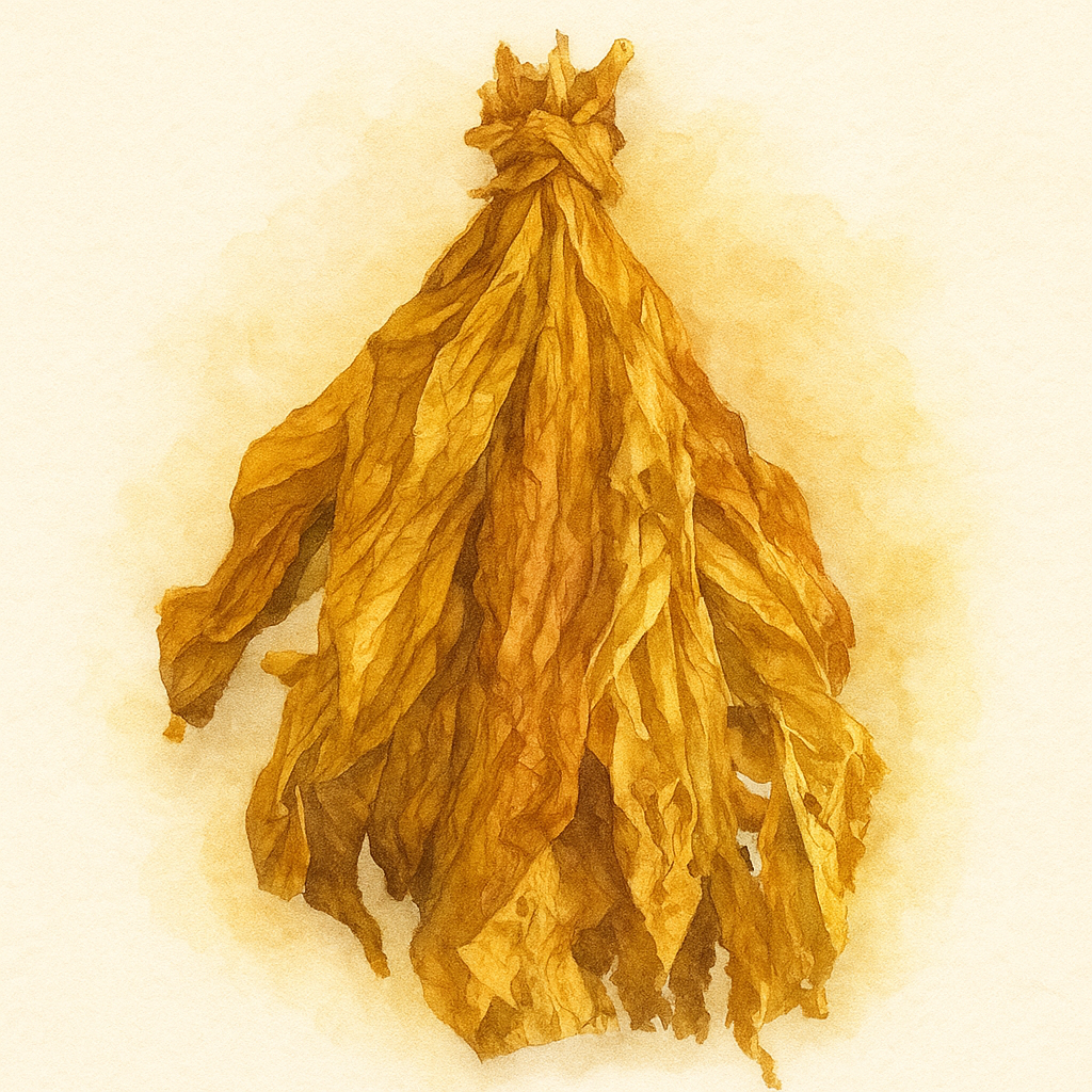 Feuille de tabac