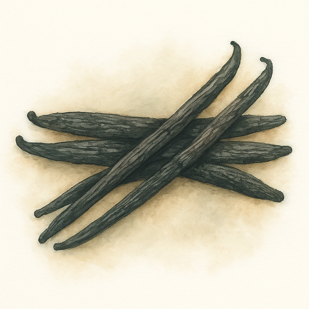 Gousse de vanille noire