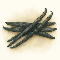 Gousse de vanille noire