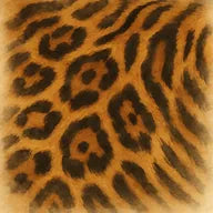 Notes animales