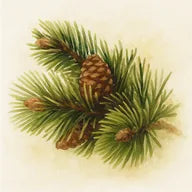 Pin