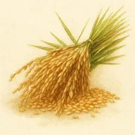 Riz