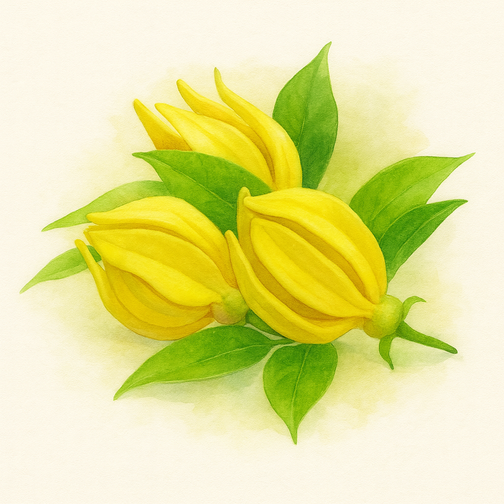 Ylang-ylang