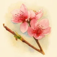 Fleur de pécher