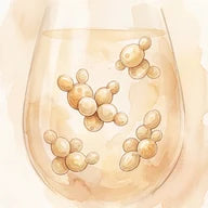 Levures de vin, note de tête – Lys Sølaberg