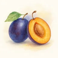 Pflaume