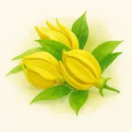 Ylang-ylang